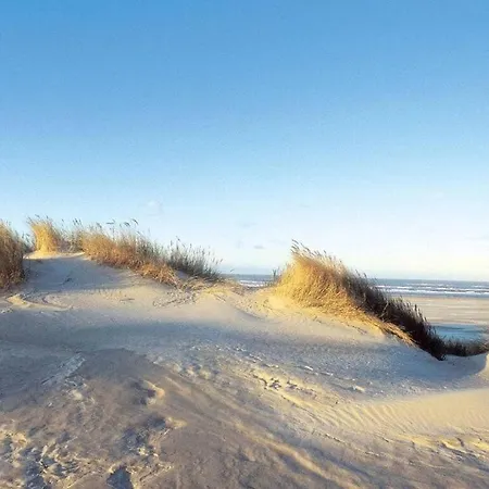 Duenenhuus West Modern Retreat بيت للعطل جويست